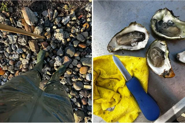 Liz Provencher/Travel + Leisure Going oystering in Mors.