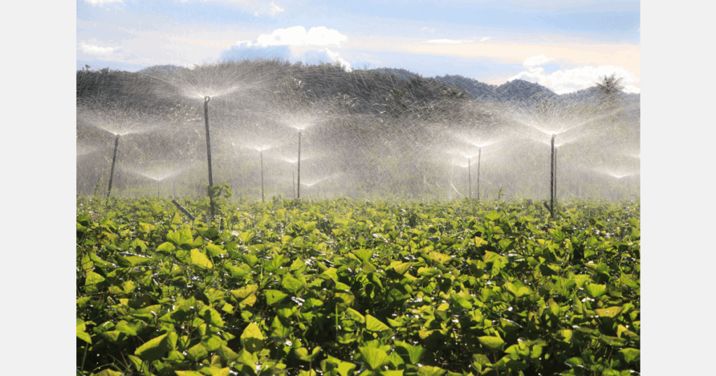 Dutch agriculture mission to Spain seeks to bridge water scarcity for growers