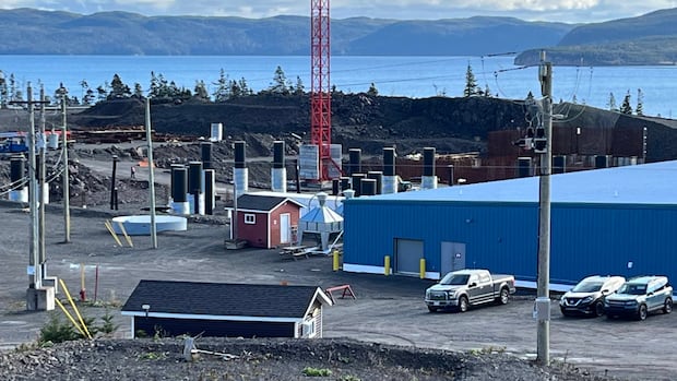 Grieg Seafood sells operations in Canada and northern Norway