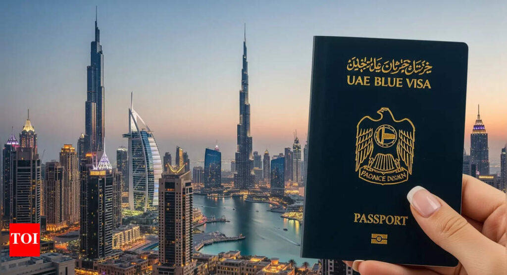 UAE Blue visa: No property or investment needed; how you can simply qualify by contributing to the environment | World News