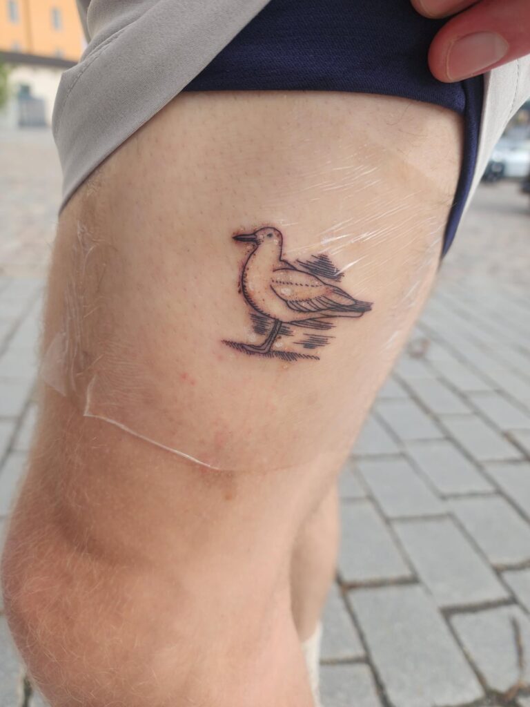 Visited Lofoten, commemorated it with tattoos of a sheep and a seagull