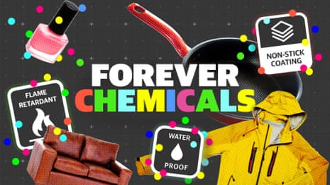 How 'forever chemicals' have seeped into almost everything – video