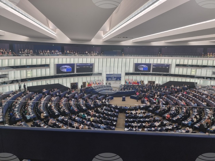 European Parliament Removes Phrase “Macedonian Language and Identity” from North Macedonia's Progress Report on EU Path