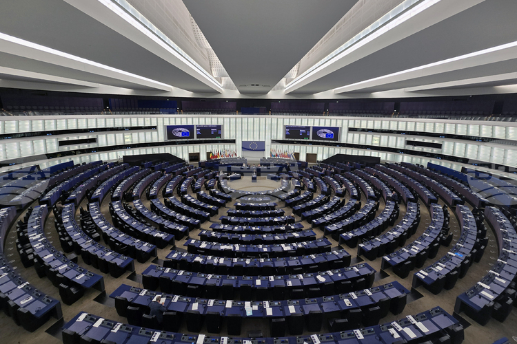 Report on North Macedonia's Progress towards EU Membership Adopted in Strasbourg, Reactions