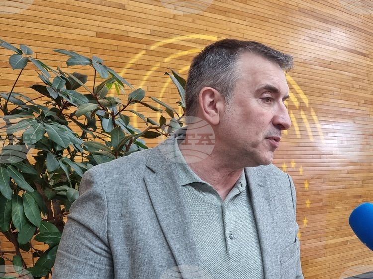 Bulgarian MEP Lauds “Common Sense” in European Parliament Report on North Macedonia