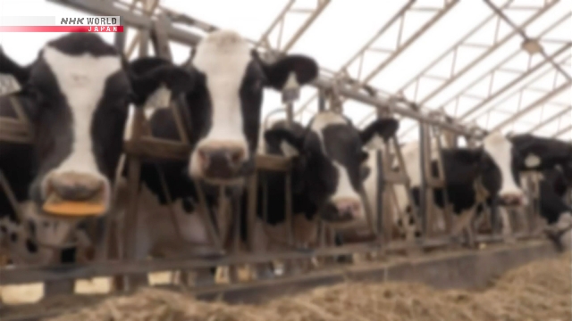 Researchers: Delayed treatment of bird flu may raise risk of drug-resistance