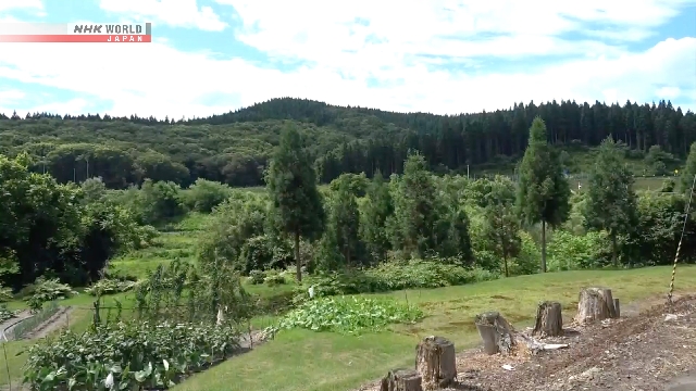 Man injured in latest wild bear attack in Akita