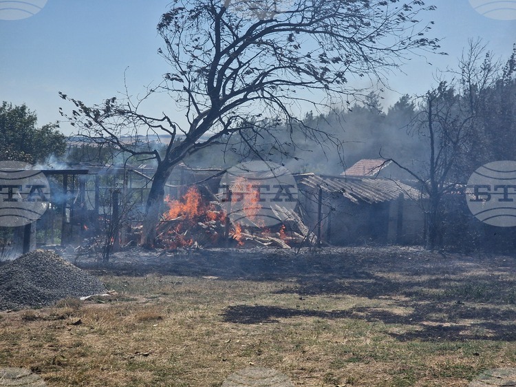 Serbia Unable to Assist Neighbours Amid Critical Wildfire Situation