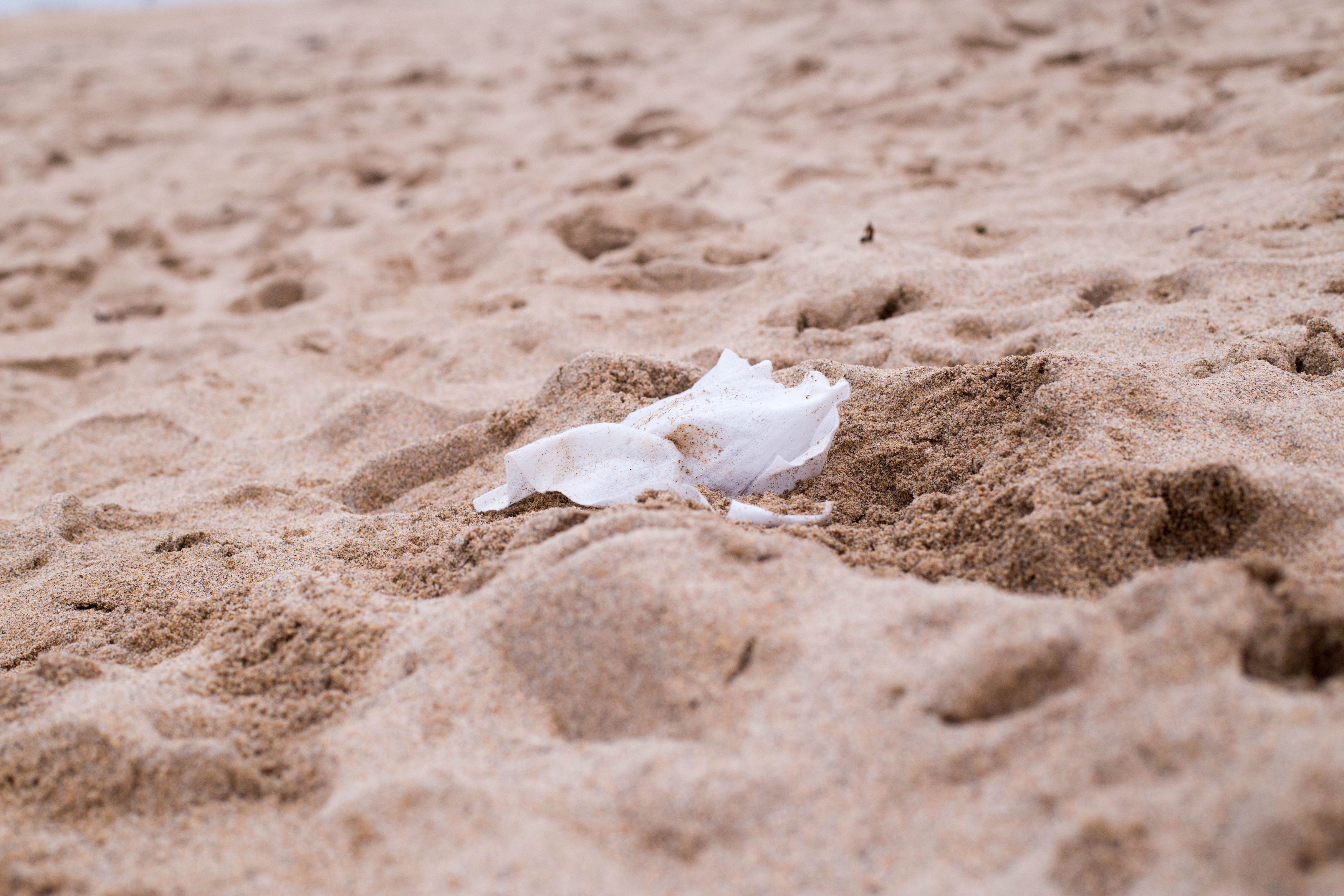 A wet wipe on a beach in Cornwall