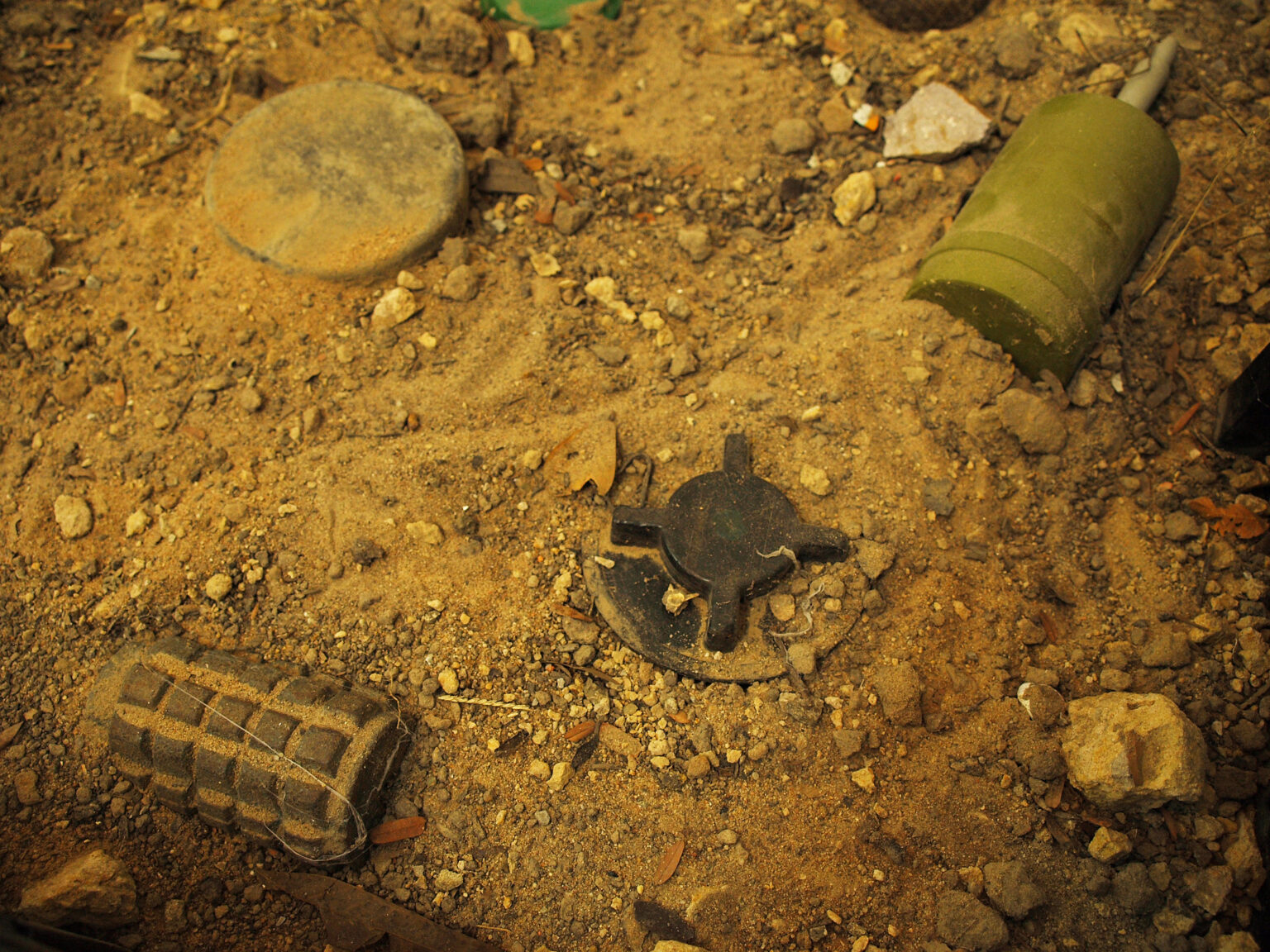 Finland and Lithuania to jointly produce anti-personnel mines