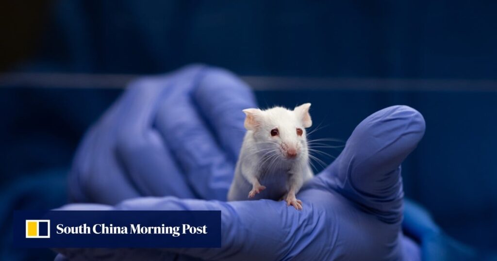 How Chinese scientists cracked the secret of organ regeneration