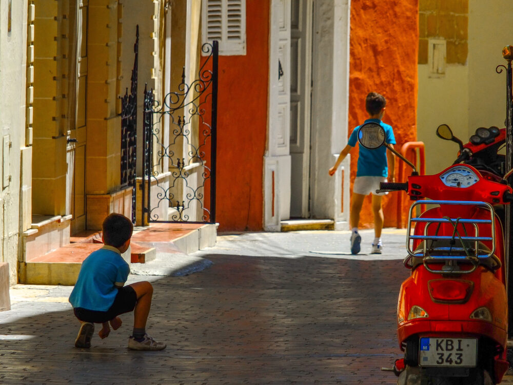 Maltese risks digital extinction Maltese risks digital extinction
