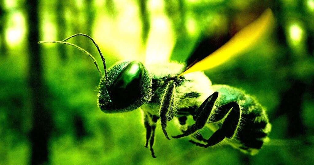 Chinese Scientists Create Cyborg Bees That Can Be Controlled Like Drones for Undercover Military Missions