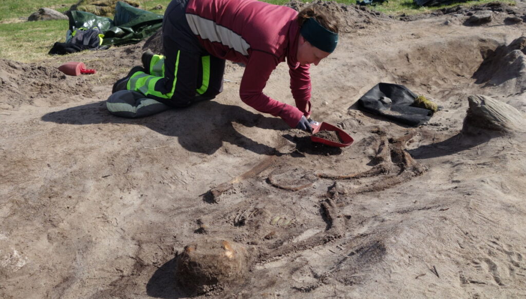 Viking Age boat grave discovered on island in northern Norway Viking Age boat grave discovered on island in northern Norway