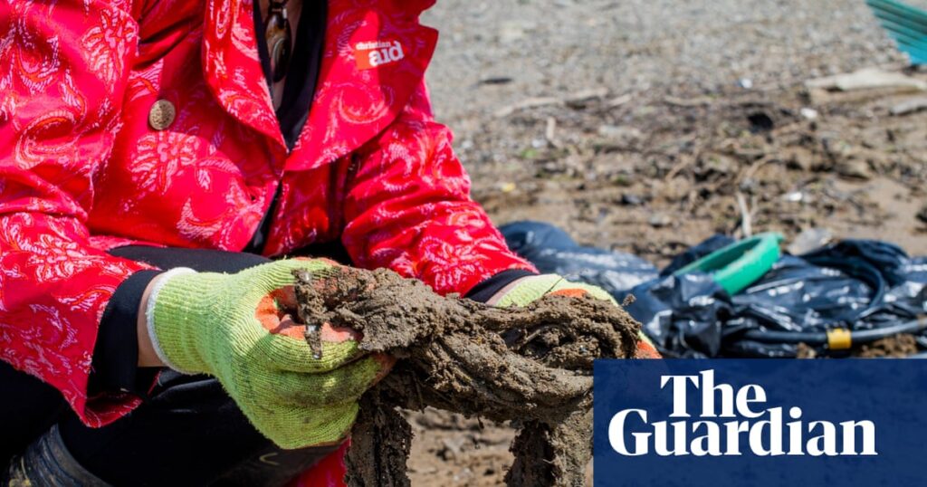 Call to make wet wipe producers pay for polluting England’s waterways | Pollution