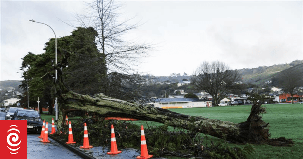 Wild weather: What you need to know as clean-up efforts begin