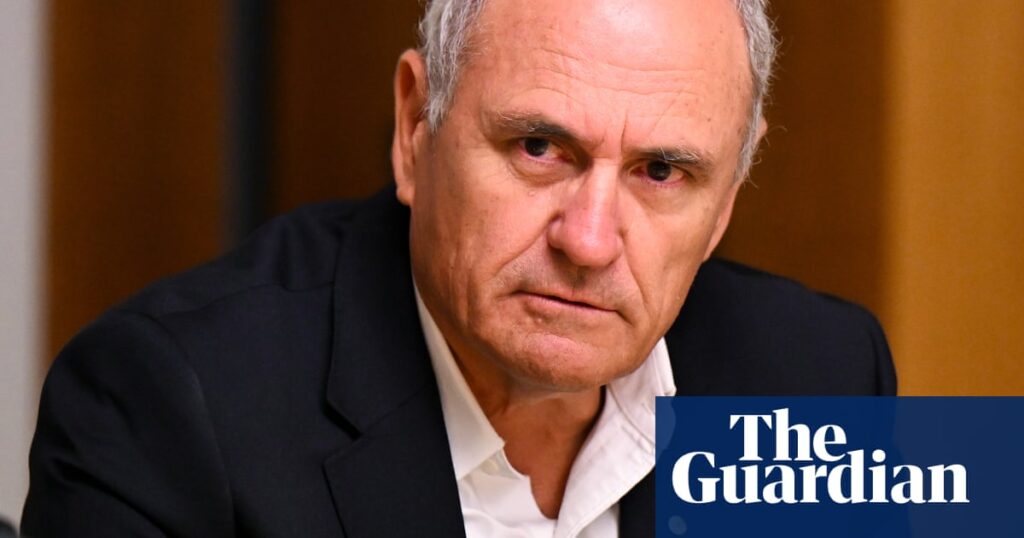 Fixing Australia’s broken environment laws hold key to productivity, ex-Treasury head says | Australian politics