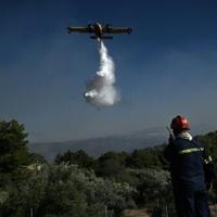 Greece on high alert as heat and wind fuel fire outbreaks | News