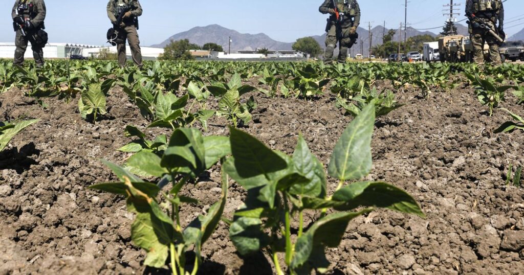 Commentary: Grow the economy? Not with these immigration restrictions | Opinion