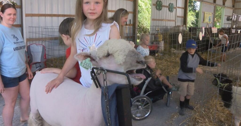 137th Boonville-Oneida County Fair Takes Place This Week | Entertainment