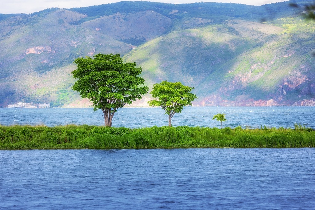 Dali pledges to intensify preservation of environment