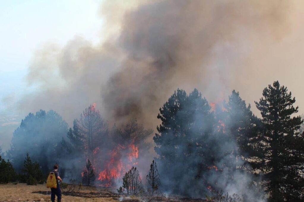 Aggravated fires, only 57 cases have been reported today - Koha.net