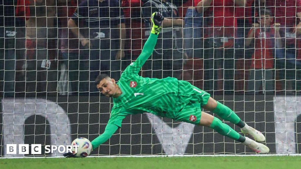 Djordje Petrovic saves a penalty for Serbia