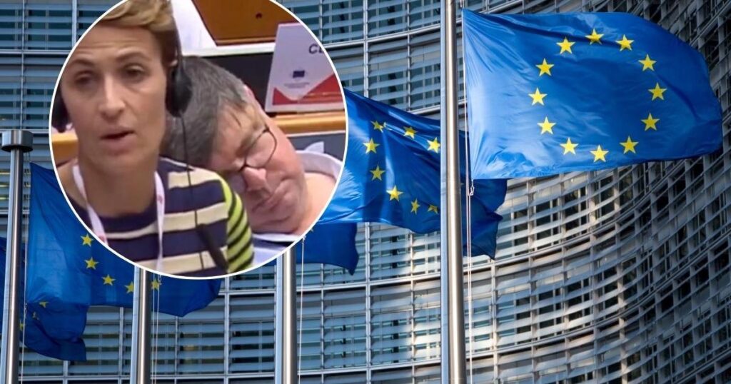 Regional council president blames lack of air conditioning for EU meeting snooze