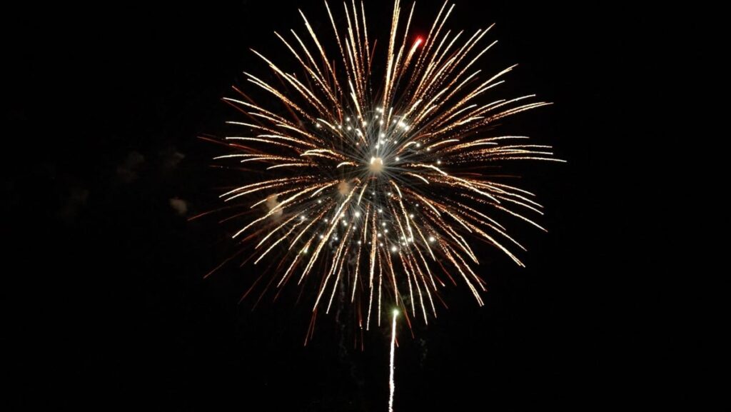 Gainesville and Alachua County entertainment for week of July 4, 2025