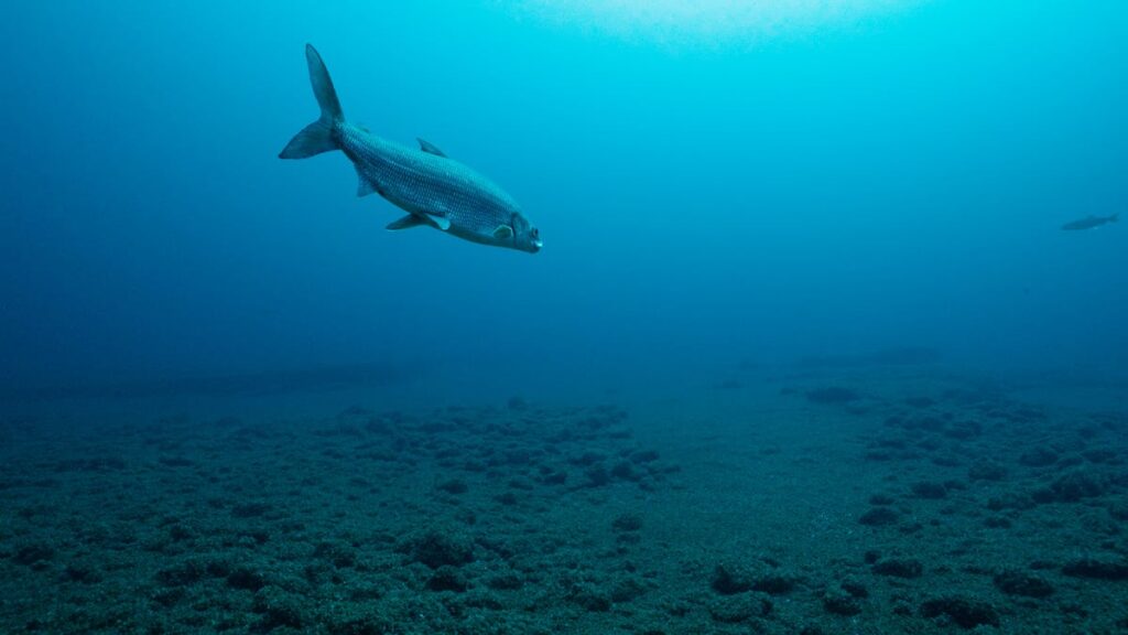 Report shows ongoing impact of climate change on Great Lakes