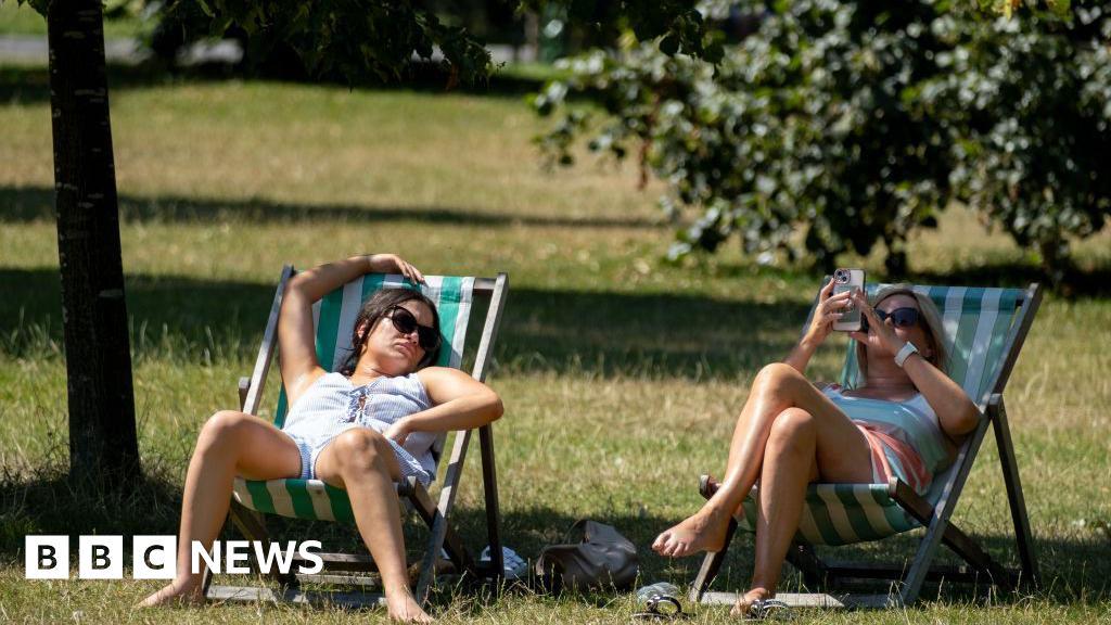 Plant trees to tackle deadly heatwaves, say experts