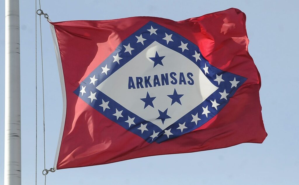 Arkansas Rural Health Academy names first president | The Arkansas Democrat-Gazette