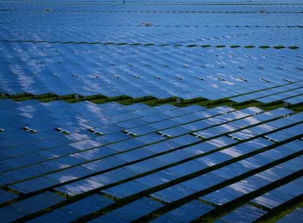 Double Black Diamond Solar near Waverly, south of Springfield, is set to be the largest solar farm east of the Mississippi River. (E. Jason Wambsgans/Chicago Tribune)