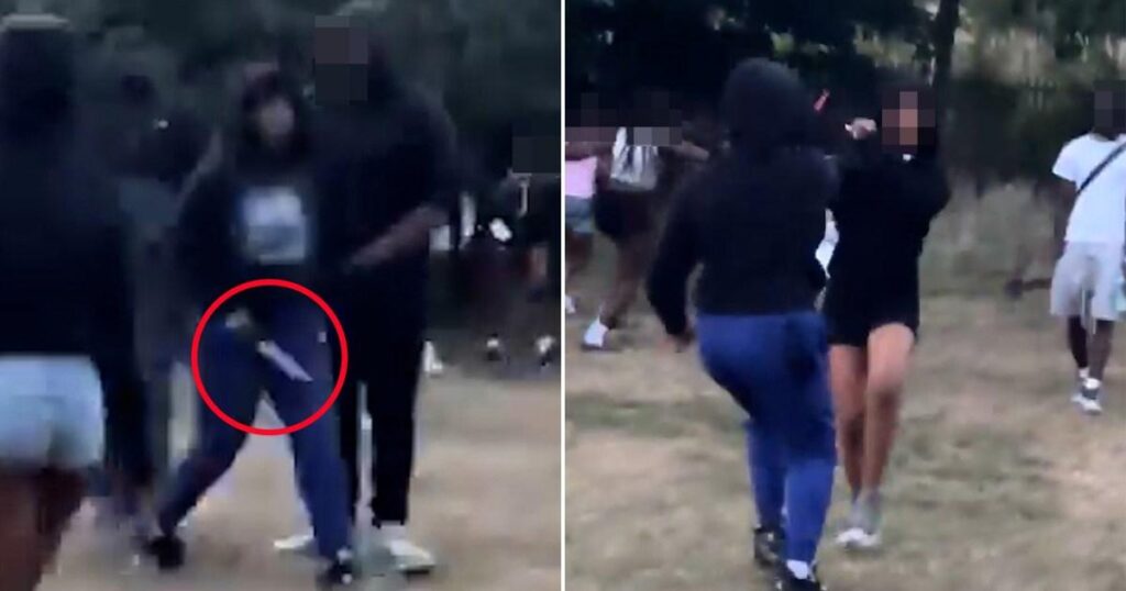 Attacker pulls out huge knife and lunges at young woman in London park