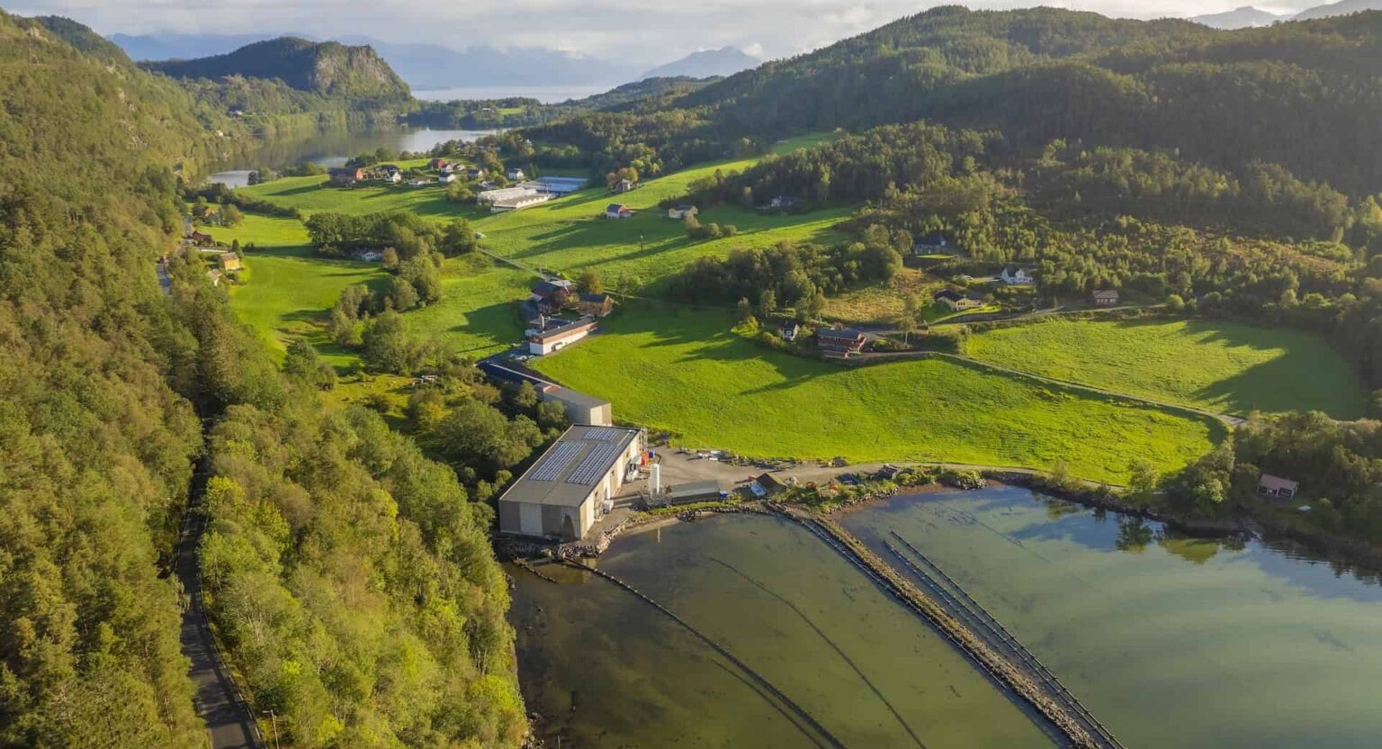 Norway smolt producer's sale nears final agreements