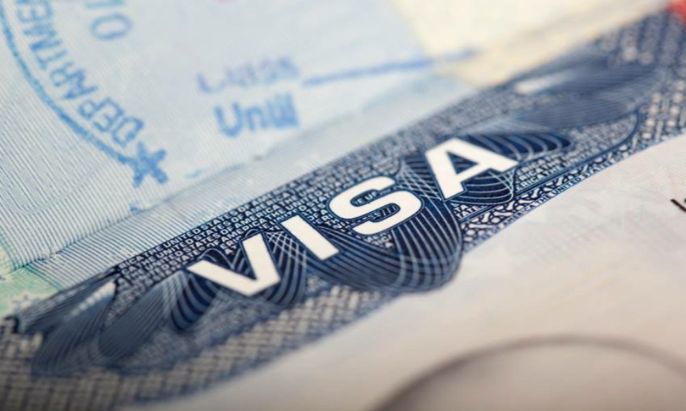 New Zealand’s Golden Visa Surge Could Revitalise the Economy