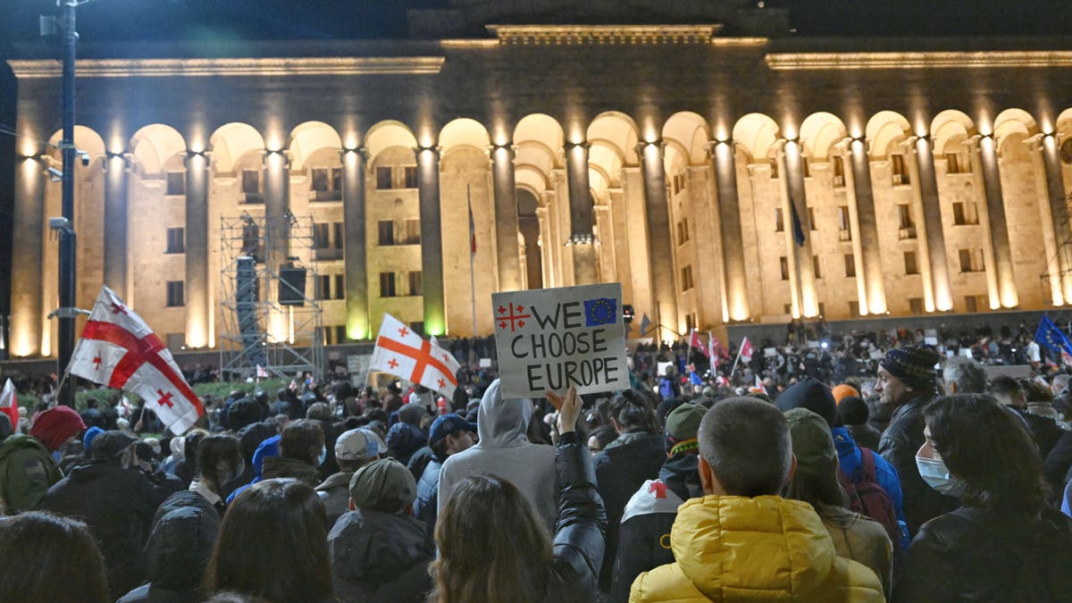 Georgian protesters in Tblisi