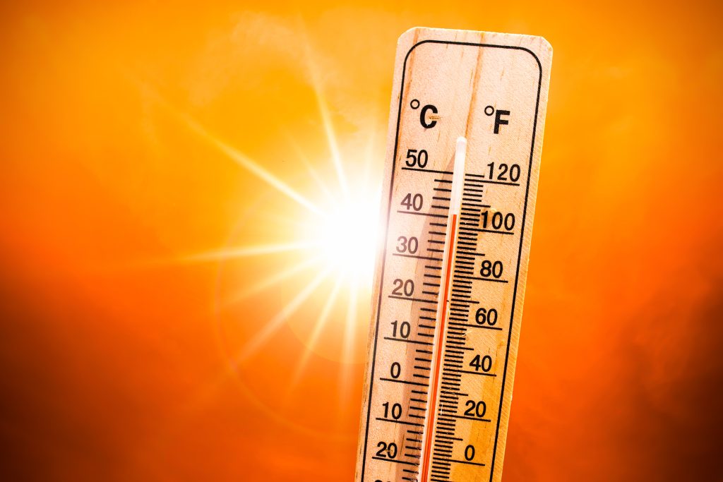 Heatwave from Africa hits Serbia – Serbian MonitorSerbian Monitor