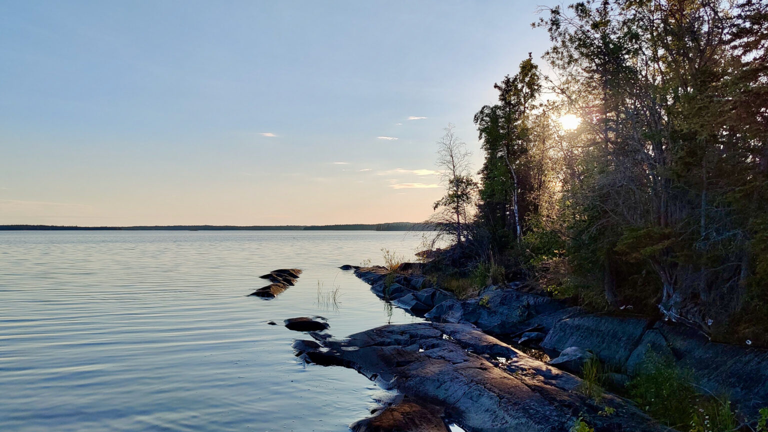 Ecology North launches environmental management website