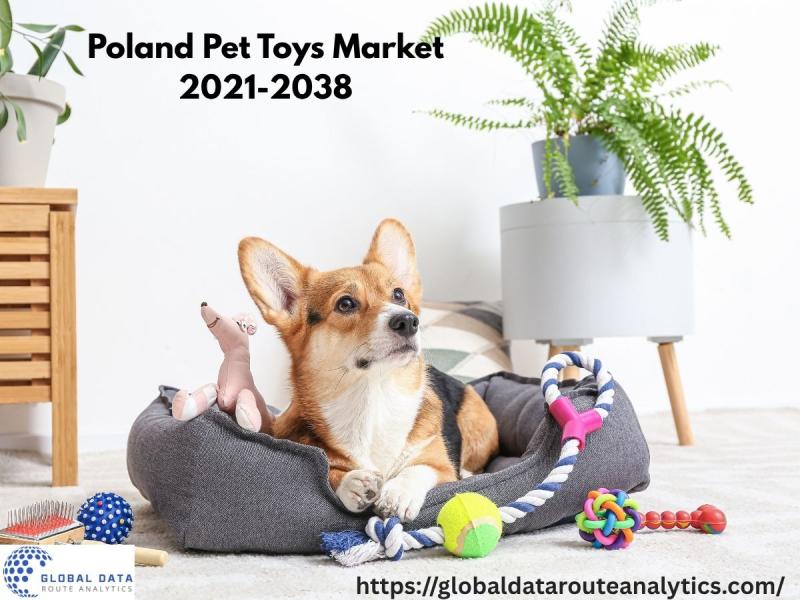 Interactive Dog and Cat Toys Gain Popularity in Poland 2021-2038