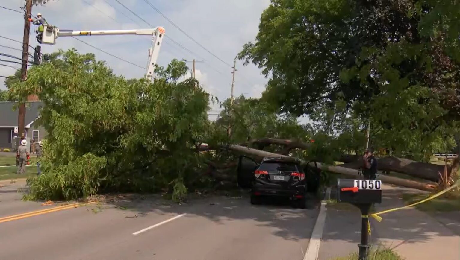 Tree falls on top of car on Long Pond Road in Greece