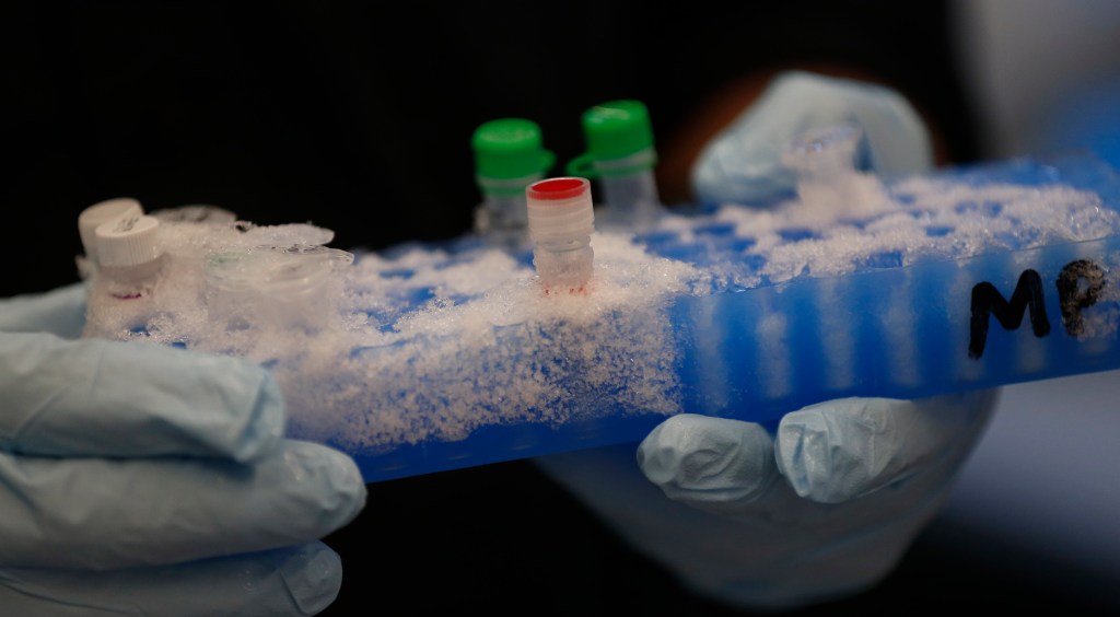 Investments in science are investments in innovation, economy