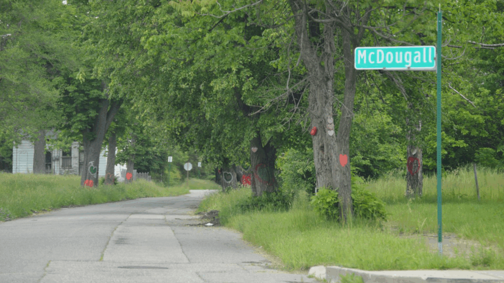 A tree lined street in Detroit.