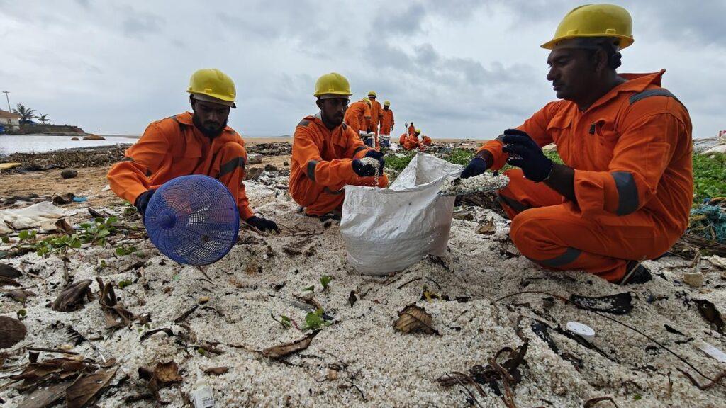 Greenpeace, civil society groups demand urgent action for making MSC pay for environment damage, livelihood loss