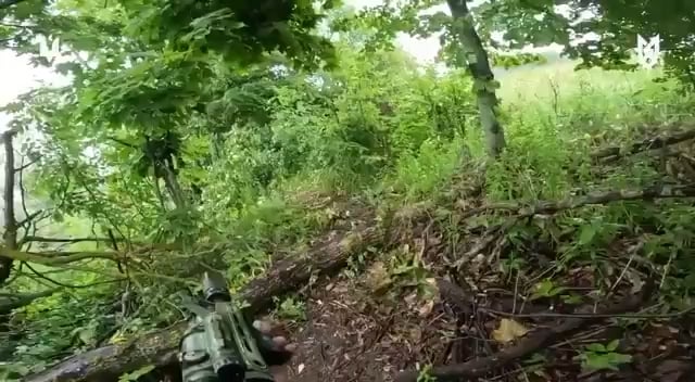First-person footage shows Ukrainian Special Forces assaulting a small Russian unit that is attempting to advance through a forest to take a new position. The soldiers also use this opportunity to gather intelligence and search the bodies for orders and maps.