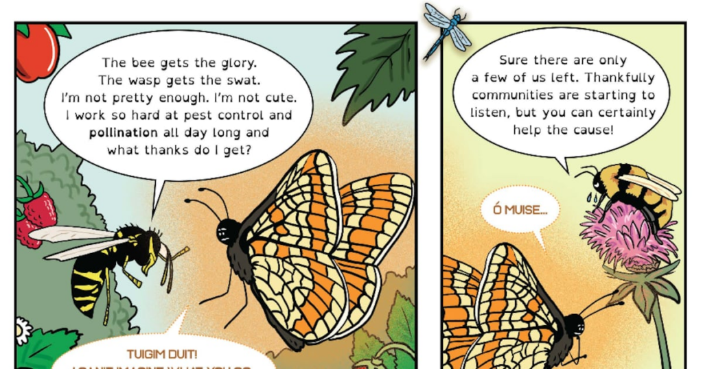 Ireland’s only protected insect the marsh fritillary to star in new comic championing cause of insects – The Irish Times