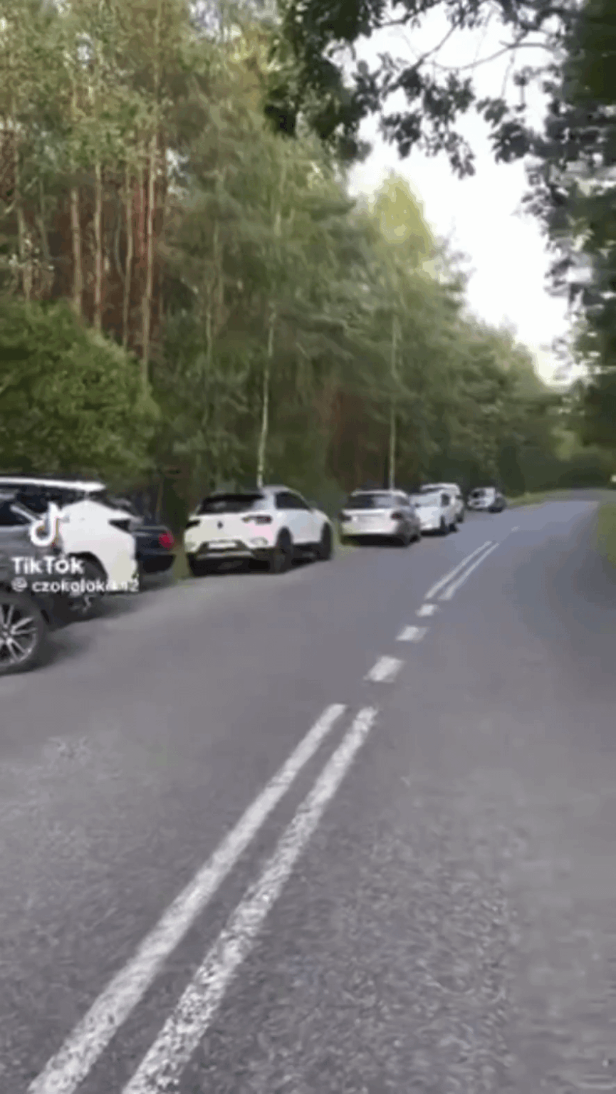 Polish racists have begun driving to the Germany-Poland border and setting "checkpoints" to prevent immigrants from entering the country