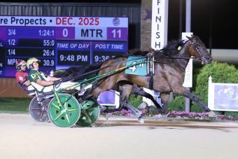 On To Norway matches track record, wins 10th straight at Hoosier – U.S. Trotting News