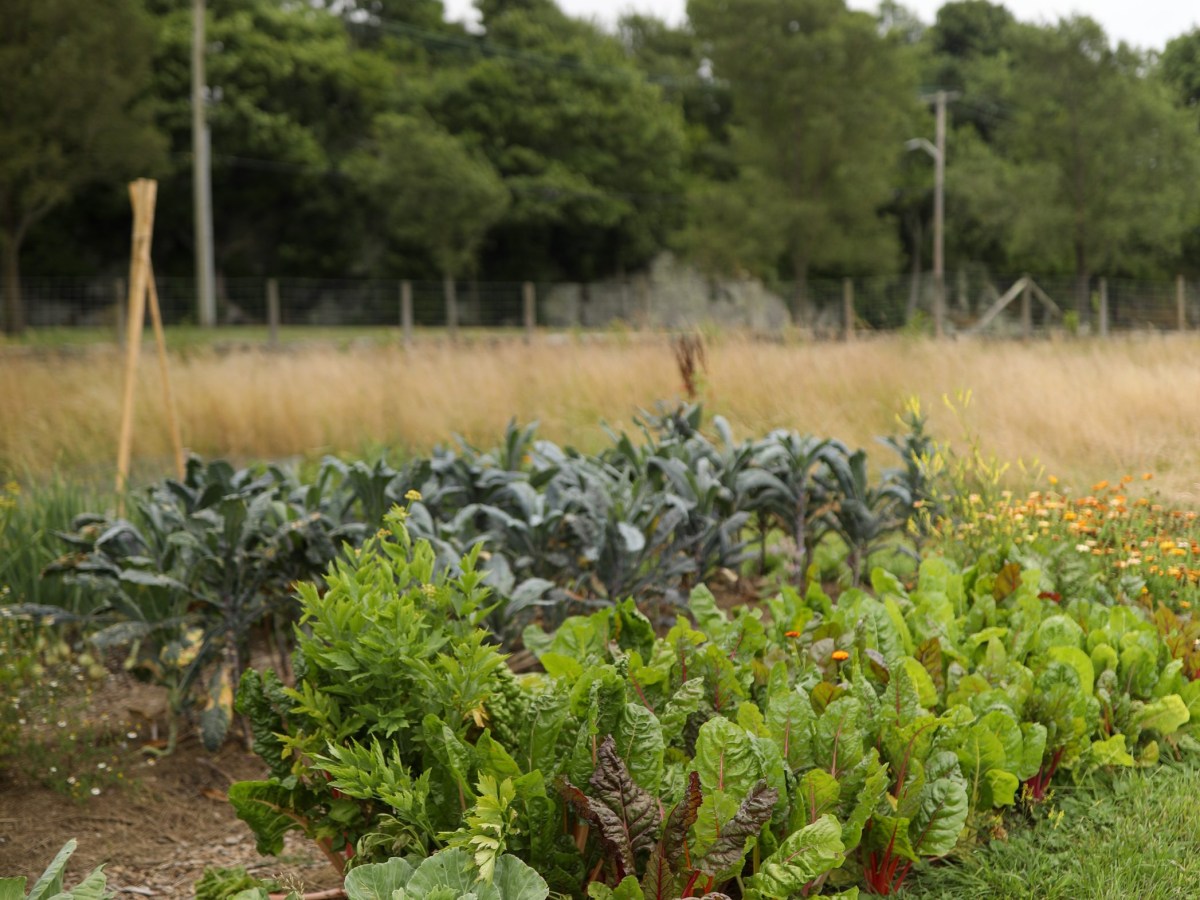 Workshop to help Rhode Island landowners lease property for farming