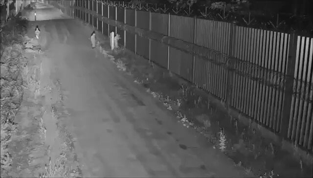 Polish-Belarusian border yesterday